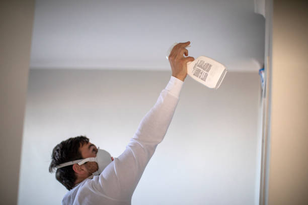 Best Home Mold Removal  in Harleigh, PA