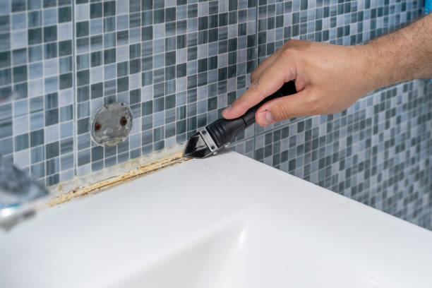 Best Mold Removal Near Me  in Harleigh, PA