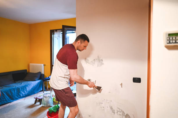 Best Mold Testing  in Harleigh, PA